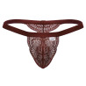 CandyMan String en dentelle Bachos Bordeaux
